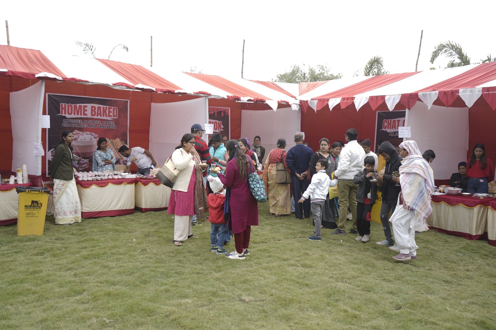 Whimsical Wonders 2.0 - Winter Carnival