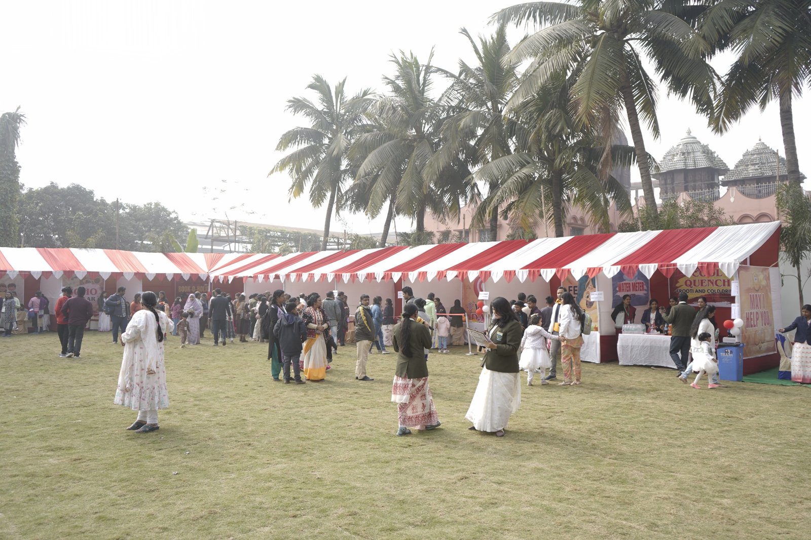 Whimsical Wonders 2.0 - Winter Carnival