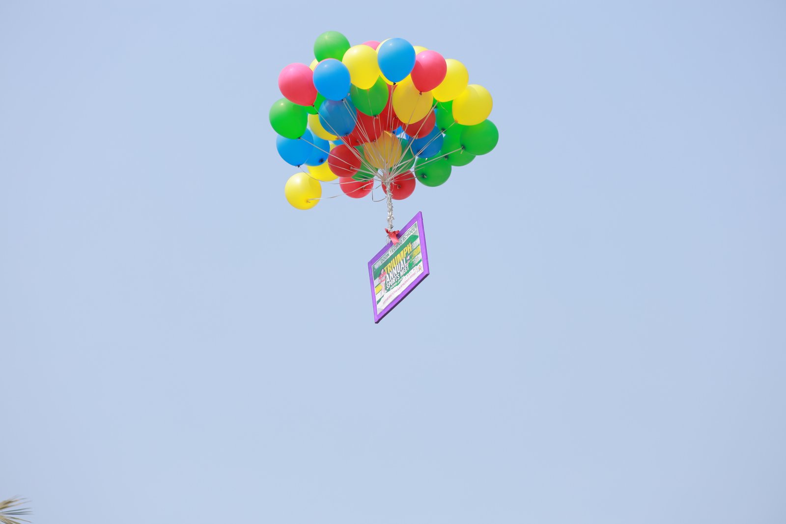 Triumph Annual Sports Meet  2025-26