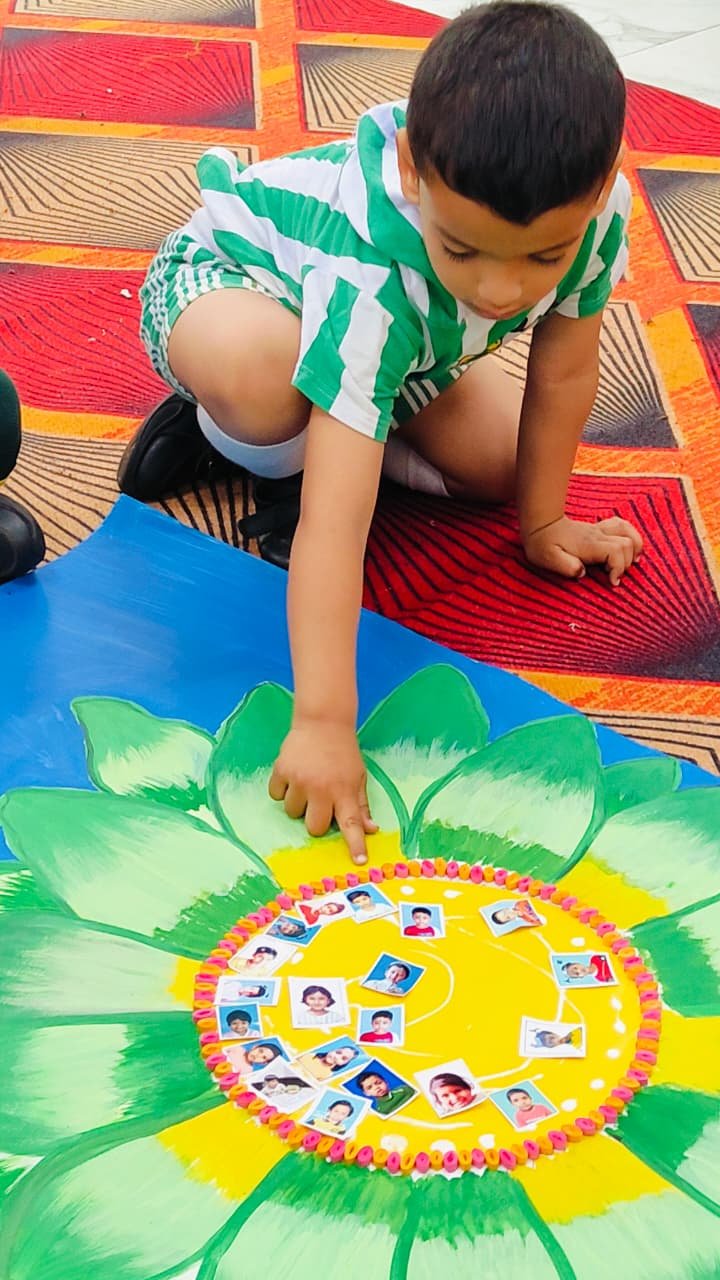 Green Colour Day Celebration