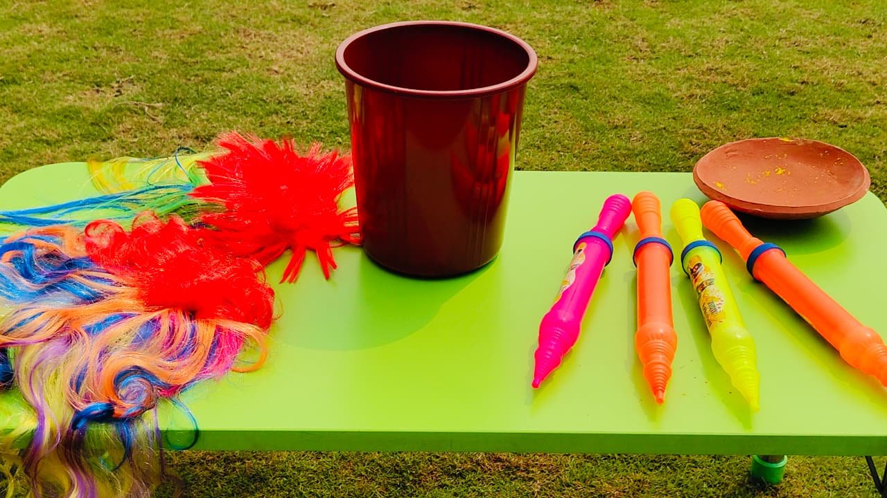 Holi Celebration By PPS