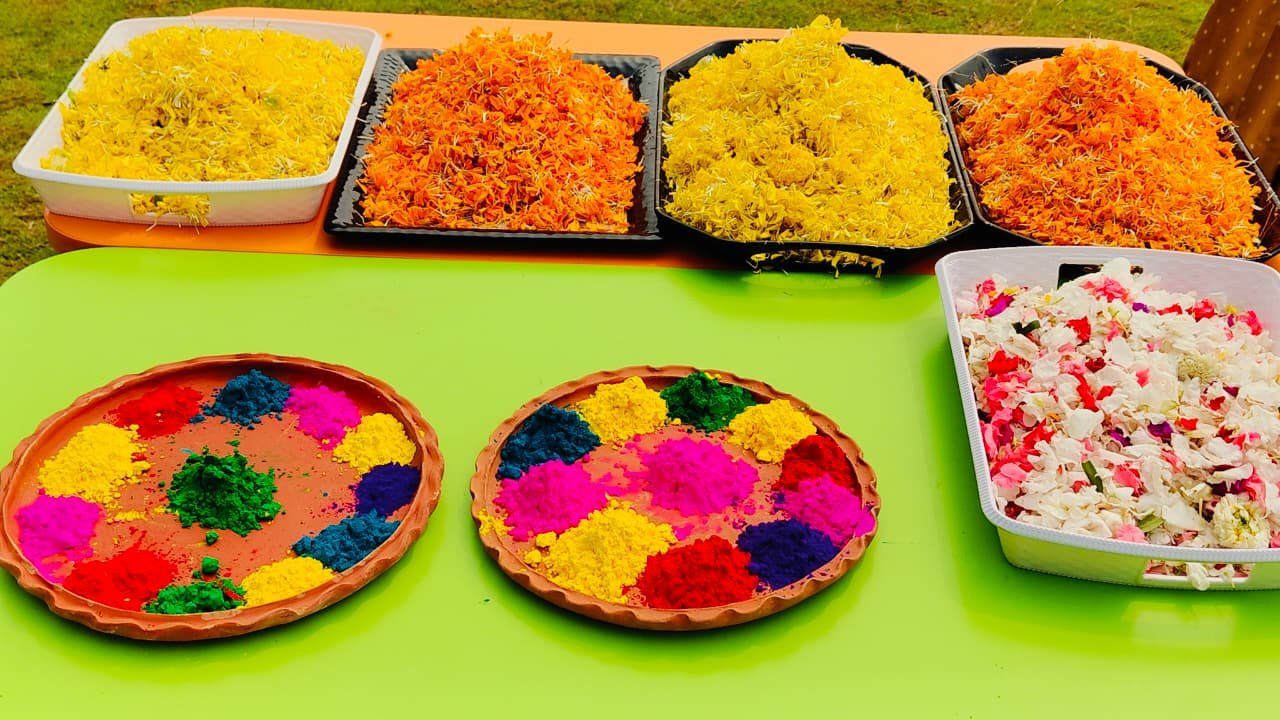 Holi Celebration By PPS