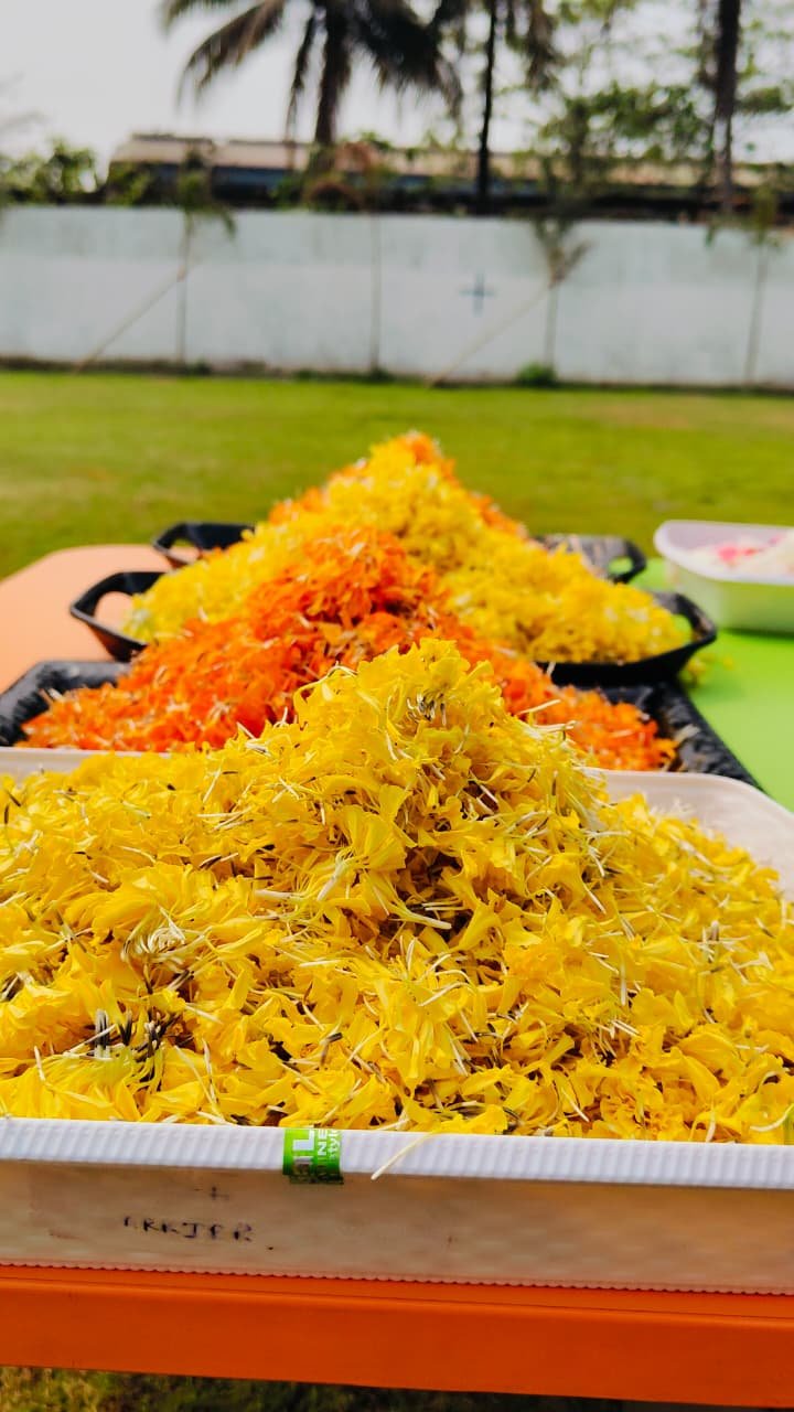 Holi Celebration By PPS