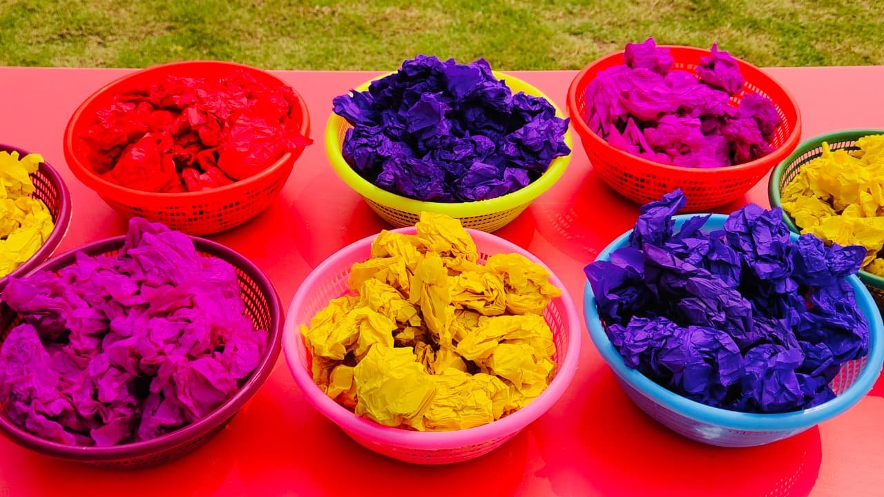 Holi Celebration By PPS