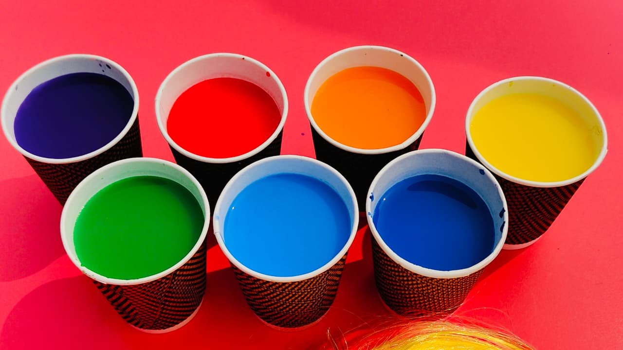 Holi Celebration By PPS