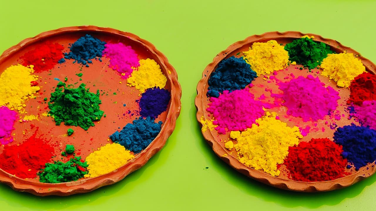 Holi Celebration By PPS